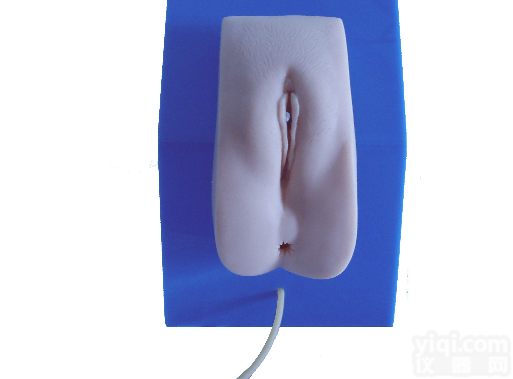 CB/H28F  高级着装式女性<em>导尿</em><em>模型</em>,女性<em>导尿</em>示教<em>模型</em>