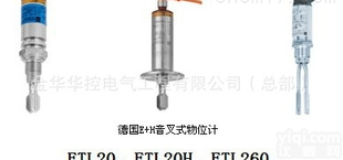 FTL20/20H、FTL260  e+h<em>音叉</em><em>物位计</em>、啤酒<em>音叉</em><em>物位计</em>、石油<em>音叉</em><em>物位计</em>