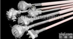 铂铑10-铂热电偶  武汉春辉热电偶  高温<em>铂铑热电偶</em>  S型热电偶