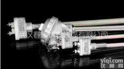 铂铑13-铂热电偶  R型热电偶 武汉春辉<em>铂铑热电偶</em> 标准热电偶