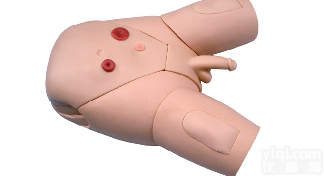 CB/H17E  男性<em>导尿</em>示教<em>模型</em>,<em>导尿</em>术练习<em>模型</em>