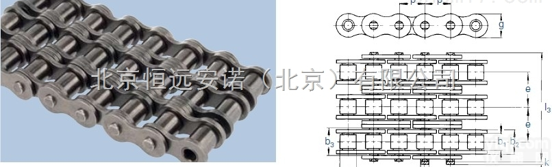 <em>原装进口</em>  WIPPERMANN 链条 <em>恒远</em><em>安诺</em>