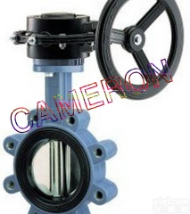CAMERON  进口<em>蜗轮</em><em>蝶阀</em>，进口<em>蜗轮</em><em>蝶阀</em>价格，进口<em>蜗轮</em><em>蝶阀</em>知名品Pai