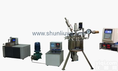 SLCL-50N  <em>超声波超高压反应系统</em>