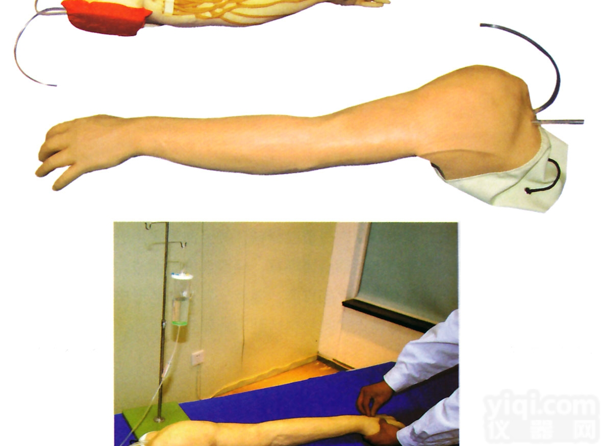 CB/HS39  全功能完整静脉<em>穿刺</em>及<em>注射</em>训练手臂模型