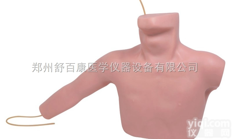 SBK/18  <em>外周</em><em>穿刺</em>、ZX静脉<em>穿刺</em><em>插管</em>模型