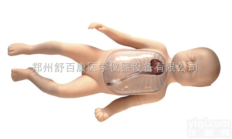 <em>新生儿</em><em>外周</em>ZX静脉<em>插管</em>模型