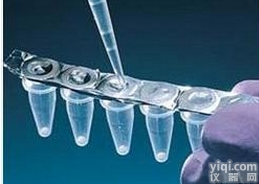 HEV Capsid protein<em>蛋白</em>抗原，戊型肝炎病毒<em>蛋白</em>抗原