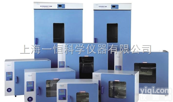 <em>一恒仪器DHG系列  鼓风干燥箱9000系列</em>