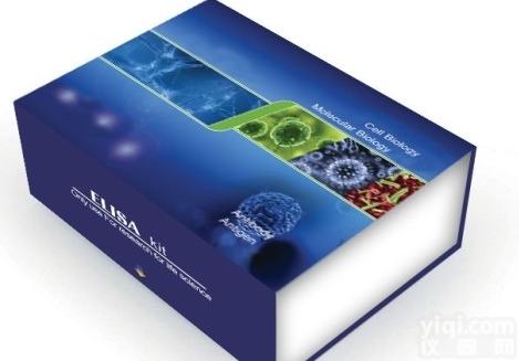 <em>48T/96T  大鼠透明质酸（HA）ELISA试剂盒</em>