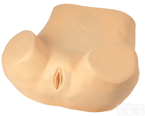 CB/FW3  高级妇科训练<em>模型</em>,<em>妇科检查</em><em>模型</em>