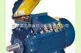 意大利原装MarelliMotori低压<em>异步</em>发<em>电机</em>