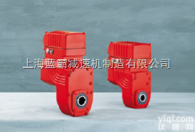 <em>布雷</em><em>维尼</em>回转专用<em>减速机</em>