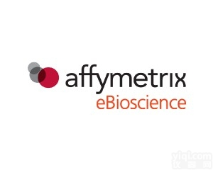 Anti-<em>Mouse</em> TIM3 <em>Purified</em>