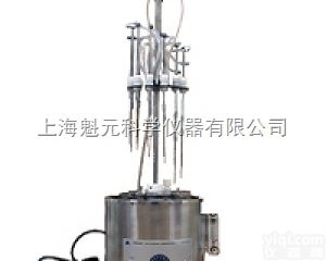 <em>ANPEL DC12 系列氮吹仪</em>