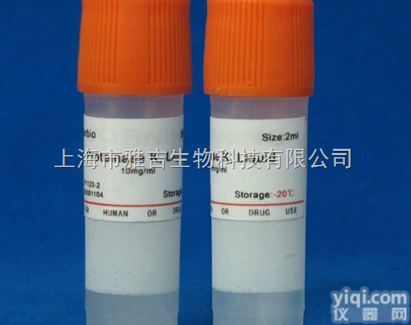 细胞<em>纤毛</em>内转运<em>同源</em>蛋白46<em>抗体</em>-IFT46<em>抗体</em>