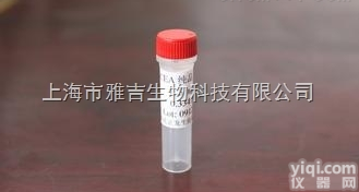 宿主细胞因子2<em>抗体</em>-Host cell <em>factor</em> C2<em>抗体</em>