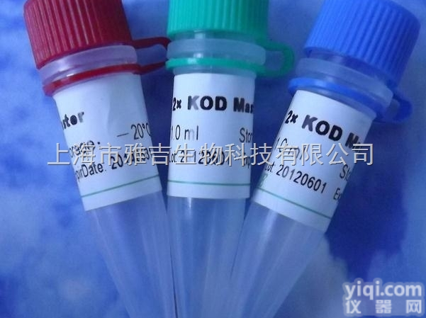 异<em>染色</em>质<em>蛋白</em>1<em>结合</em><em>蛋白</em>3抗体-HP1BP3抗体