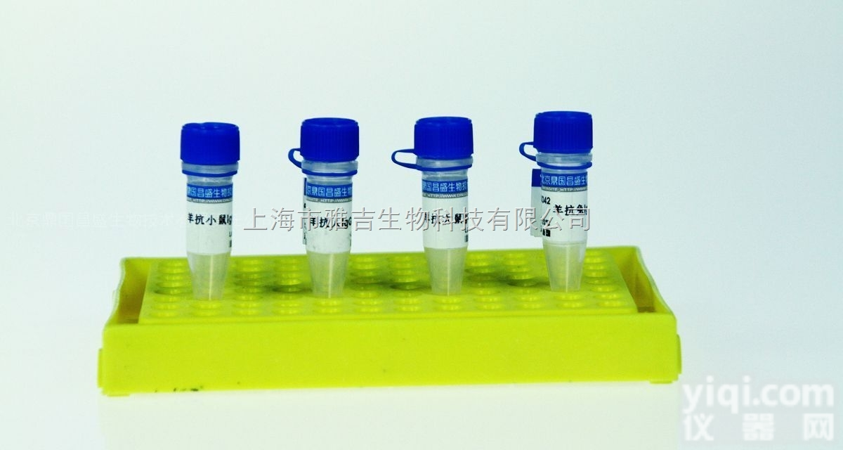 人乙型肝炎e抗原<em>单克隆</em>（检测）<em>抗体</em>-HBeAg（2E6）<em>抗体</em>