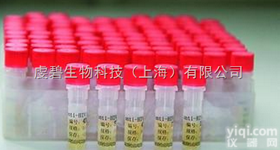 QB-8785  mericon <em>Y</em>. <em>enterocolitica</em> Kit （24）