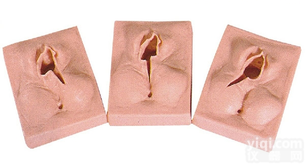 CB/F3B  <em>外阴</em><em>缝合</em>练习模型