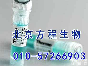 表没食<em>子儿</em><em>茶素</em>970-74-1（<em>标准品</em>对照品）