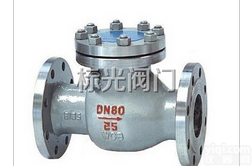 浙江铸钢旋启式<em>止回阀</em>Z好的<em>厂家</em>-温州标光阀门厂