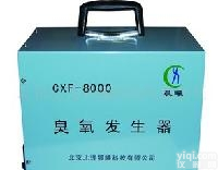 WH/CXY-8000  北京<em>医用</em><em>臭氧</em><em>发生器</em>
