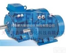 原装<em>西班牙CEMER电机</em>