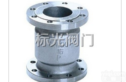 丽水市不锈钢立式止回阀<em>厂家</em><em>哪家</em>好？当然选-温州标光<em>阀门</em>厂