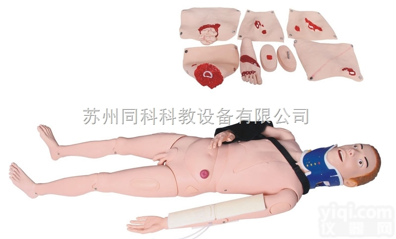 TKMX/245  闭<em>合式</em>四肢<em>骨折</em>固定训练<em>模型</em>