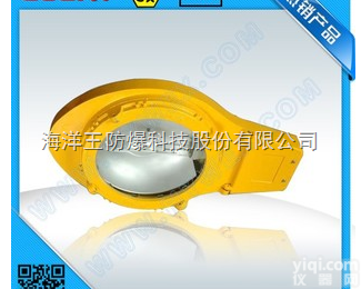 BLC8610 <em>防爆</em>道<em>路灯</em> <em>防爆</em><em>路灯</em><em>灯头</em> BLC8610-N250 厂...