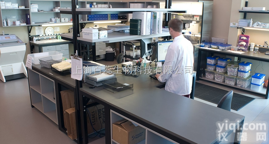 WB-WESTERN BLOTING  western blot<em>技术服务</em>，WB实验代测，免疫印迹代测