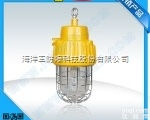 DGS70/127B（B） 70W矿用<em>隔爆型</em><em>照明灯</em> <em>隔爆型</em>泛光灯