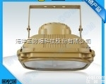 SBD1130 免维护节能防爆泛光灯 <em>低频</em>防爆无极灯 300W<em>大功率</em>