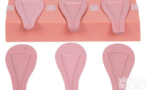 CB/FT33A  高级<em>人工流产</em>模拟<em>子宫</em>