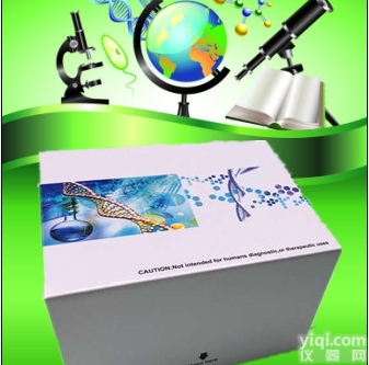 ANG-1  人ELISA<em>试剂盒</em>,人<em>血管</em><em>生成素</em>1（ANG-1）ELISA<em>试剂盒</em>价格