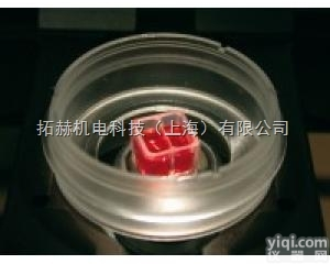 ibidi伤口愈合试验 <em>Wound</em> <em>Healing</em> culture i...