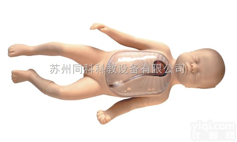 TKMX/L67B  <em>新生儿</em><em>外周</em>ZX静脉<em>插管</em>模型