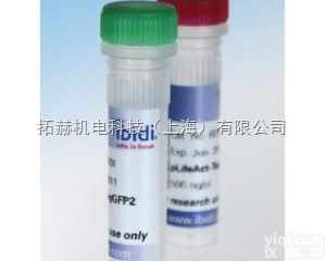 ibidi 细胞骨架染料 LifeAct <em>Adenoviral</em> Vec...
