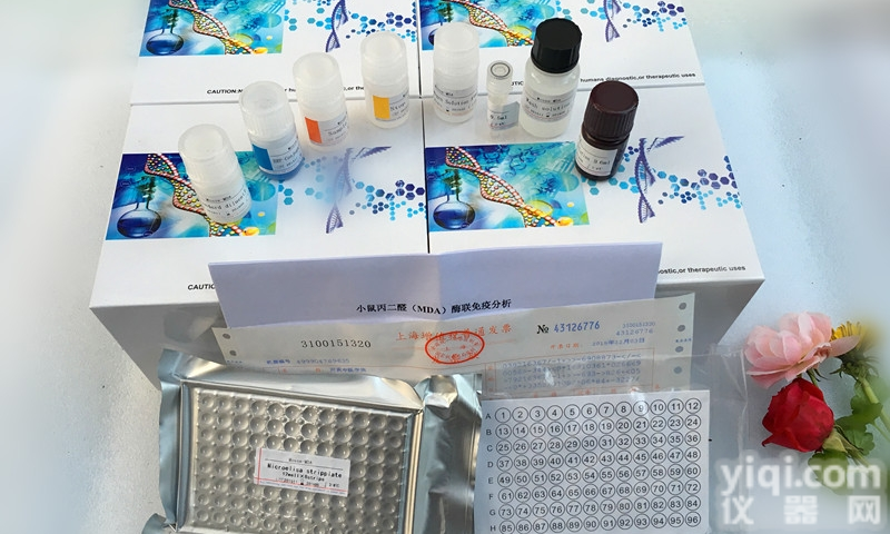 HGH  人<em>生长</em><em>因子</em>（HGH）ELISA<em>试剂盒</em>