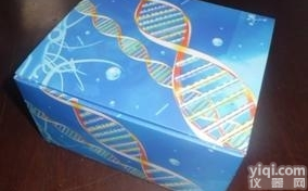 牛磷酸化<em>腺苷酸</em>活化蛋白激酶（AMPK）ELISA试剂盒<em>生产厂家</em>