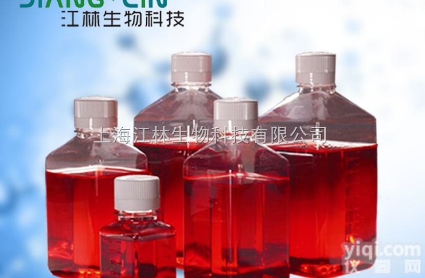 Pfeiffer人<em>弥漫性</em>大细胞<em>淋巴瘤</em>B淋巴细胞