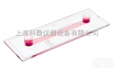 ibidi 细胞<em>培养</em> u-<em>Slide</em> I