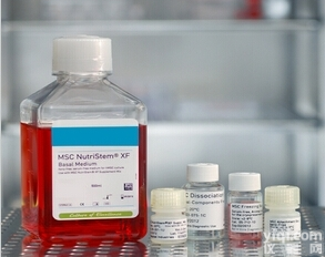 04-400-1B  金Pai间充质干细胞胎牛<em>血清</em>FBS <em>100ml</em>