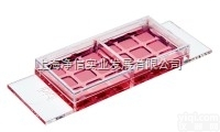 ibidi 细胞共<em>培养</em> u-<em>Slide</em> 2x9 well/81806 ...