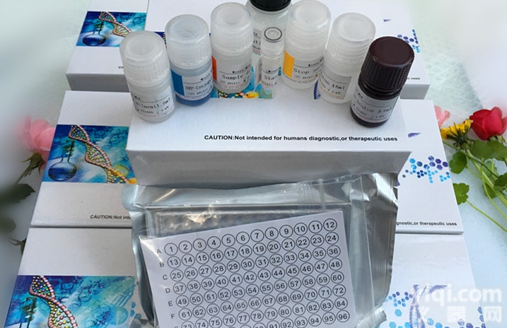 ELISA<em>试剂盒</em>批发,人骨<em>形成</em><em>蛋白</em>（BMPs）ELISA<em>试剂盒</em>批发