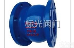 <em>丽水市</em>消声止回阀厂家哪家好？当然选-<em>浙江</em>温州标光阀门厂