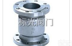 浙江不锈钢立式<em>止回阀</em>Z好的<em>厂家</em>-温州标光阀门厂