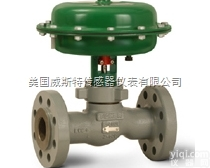 <em>Fisher</em>® D3 <em>控制阀</em>  美国<em>费希尔</em>FISHER<em>控制阀</em>一级代理